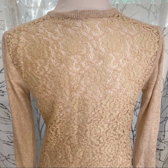 Zara tan brown beige sheer lace back crewneck knit sweater long sleeve top - Picture 3 of 7